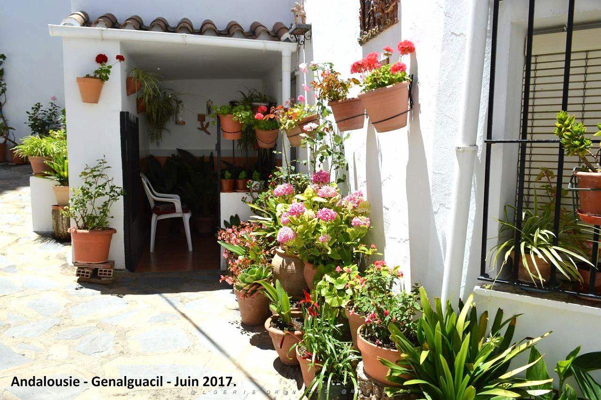357- Genalguacil.JPG